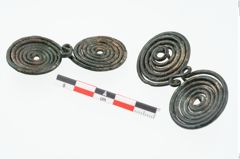Foto von Bronzebrillenfibel (NHMW-PRAE-026278)